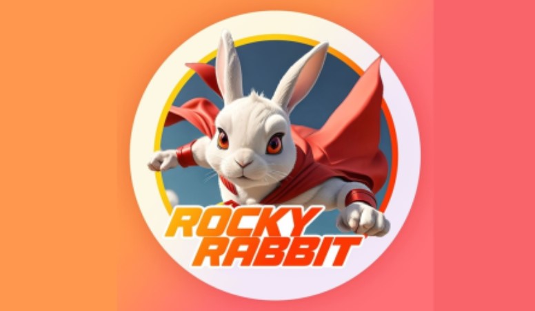 Rocky Rabbit Daily Combo